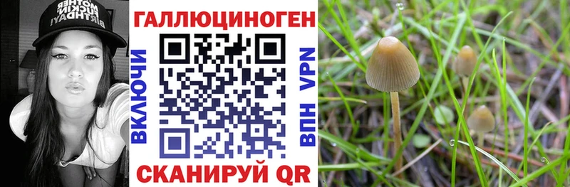 Псилоцибиновые грибы мухоморы  Алексеевка 